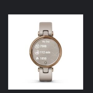 Garmin Lily Watch
